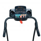 CAMINADORA EVOLUTION NEW EVO06 100KG