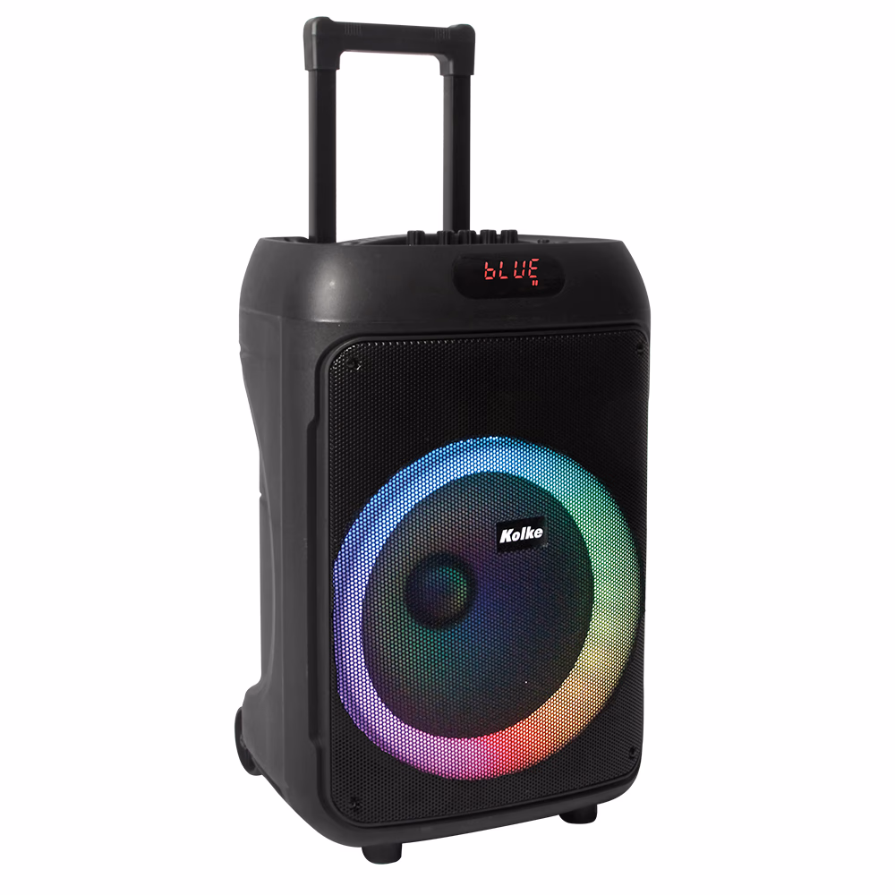 PARLANTE INALAMBRICO DE 12