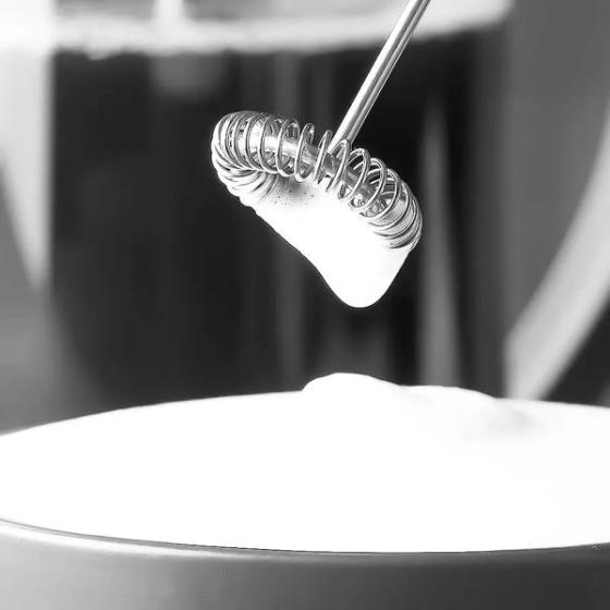 Batidor para leche COLOR NEGRO SELECTA