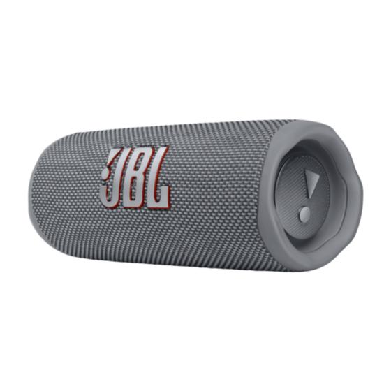 SPEAKER PORTATIL JBL FLIP 6 GRAY