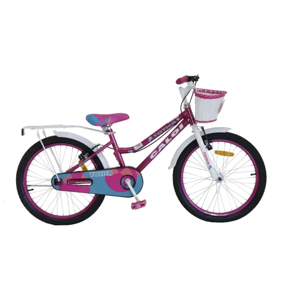 BICICLETA INFANTIL CALOI NEW TOTICA 20\