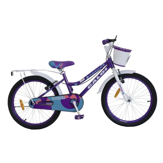 BICICLETA INFANTIL CALOI NEW TOTICA 20\