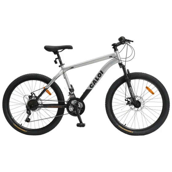 BICICLETA CALOI RIDER SPORT 24 PLATA