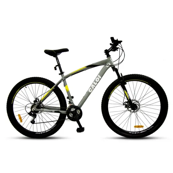 BICICLETA MTB CALOI HUNTER 29\