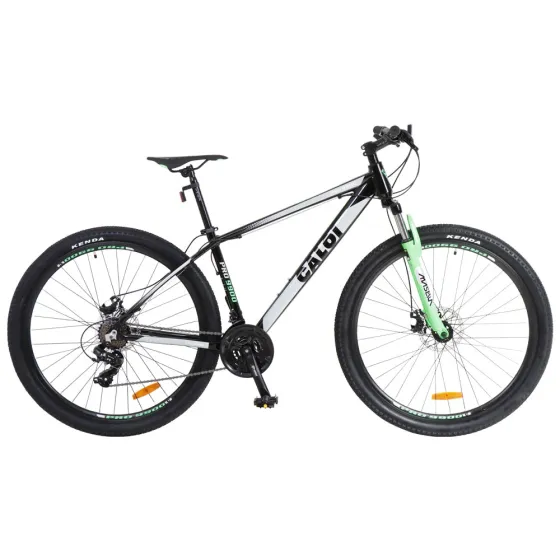 BICICLETA CALOI MTB PRO 9900 29\