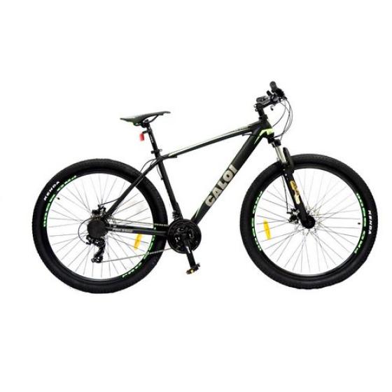 Bicicleta Caloi Pro 9900 Aro 29\
